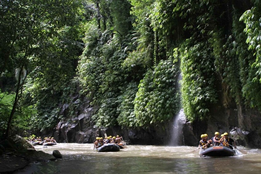 Picture 15 for Activity Ubud: Cycling, Jungle Buggies, and White Water Rafting