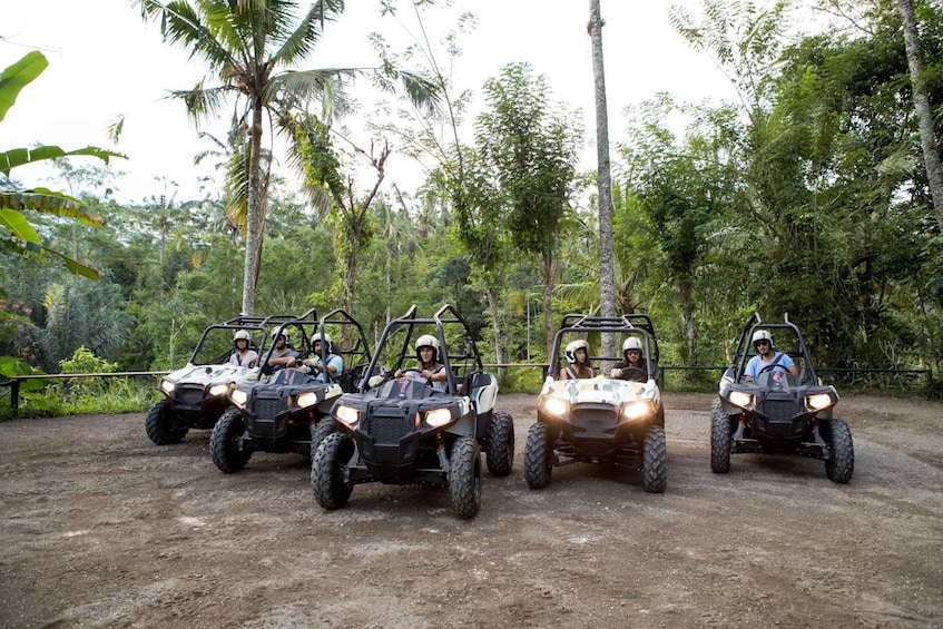 Picture 11 for Activity Ubud: Cycling, Jungle Buggies, and White Water Rafting