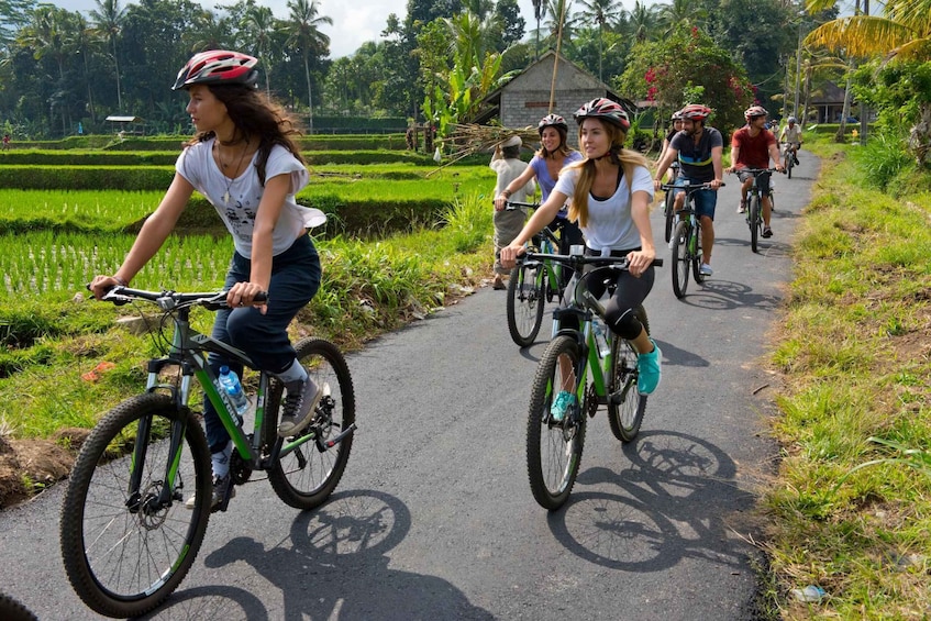 Picture 13 for Activity Ubud: Cycling, Jungle Buggies, and White Water Rafting