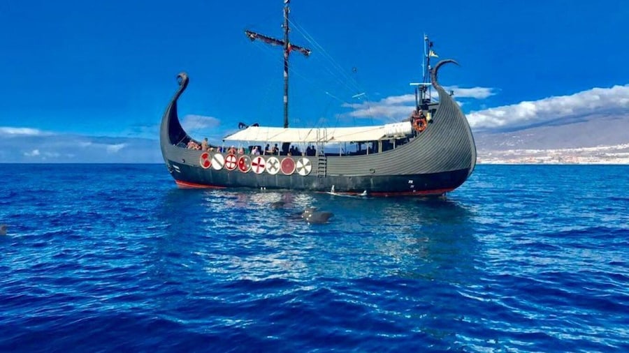 Tenerife: Whales and Dolphin-Watching Viking Cruise