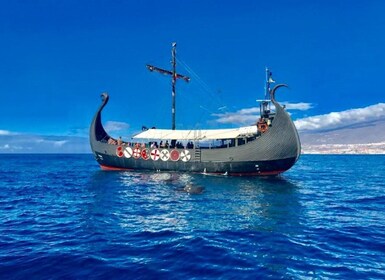 Tenerife : Croisière viking d’observation des baleines et des dauphins