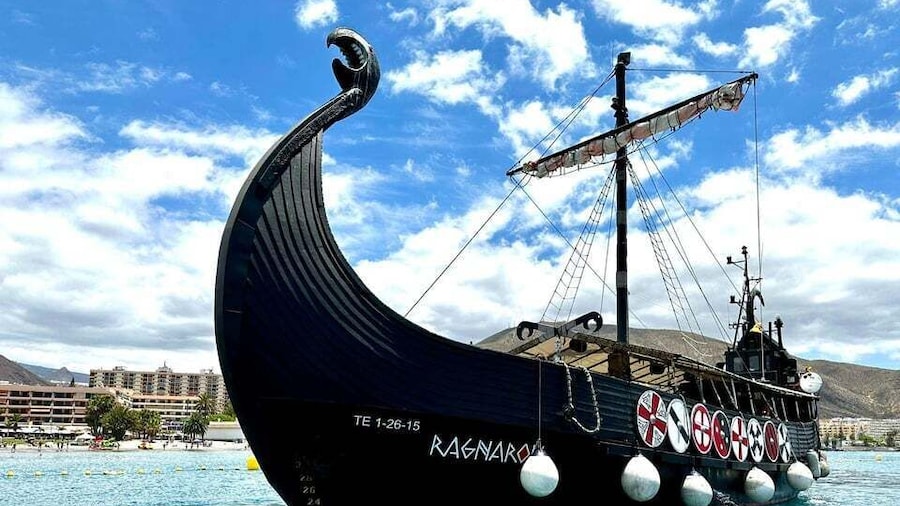 Picture 1 for Activity Los Cristianos: Whale Watching Cruise w/Swim Stop & Drinks