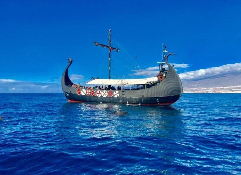 Picture 3 for Activity Los Cristianos: Whale Watching Cruise w/Swim Stop & Drinks
