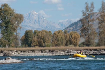 Jackson: 13-Mile Scenic Float with Teton Views