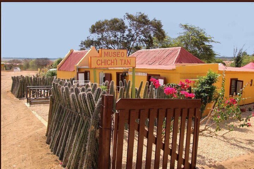 Highlights of Bonaire & Cultural Experience