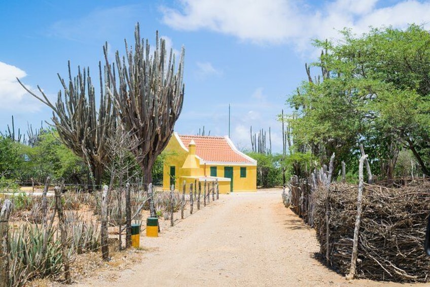 Highlights of Bonaire & Cultural Experience