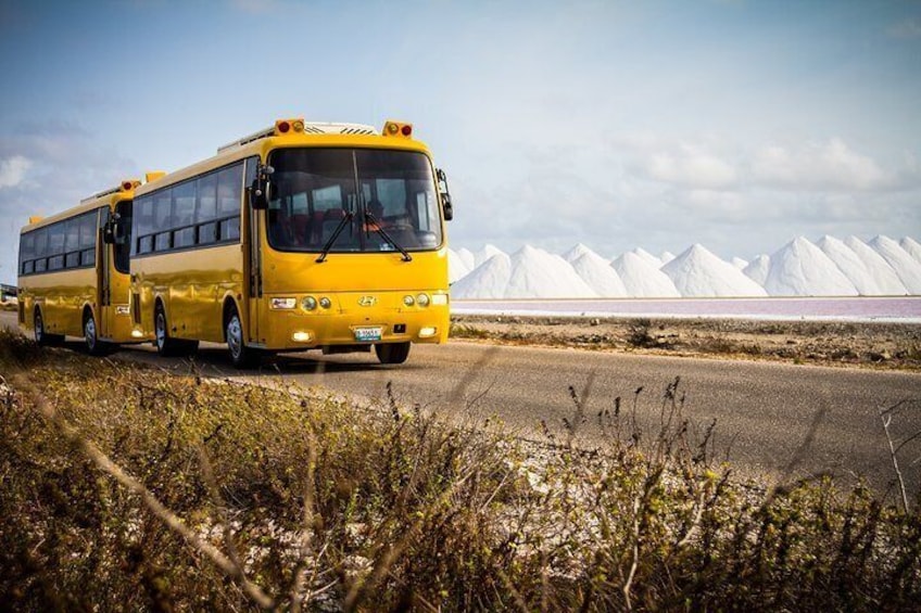 Highlights of Bonaire with Cultural Experience