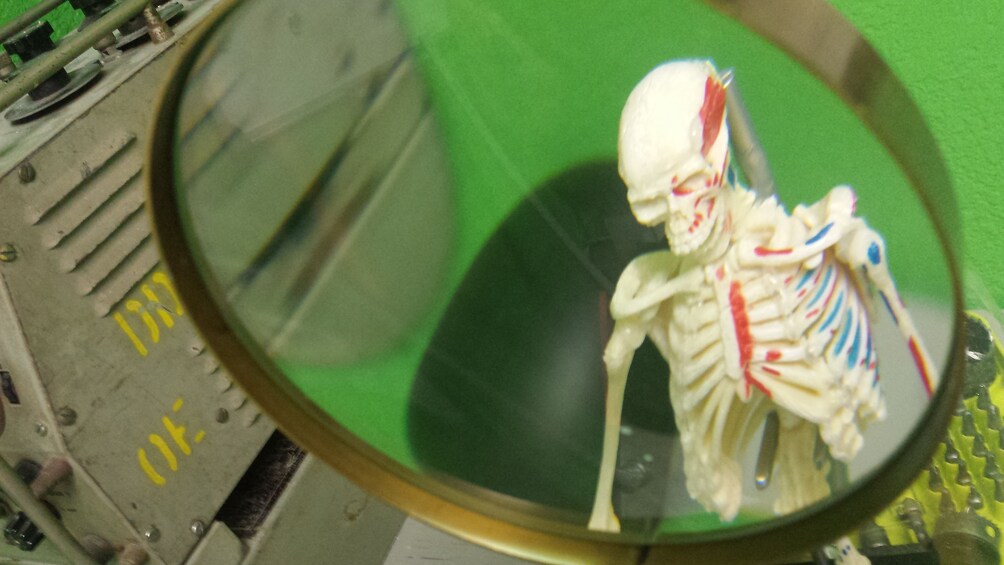 Skeleton under a magnifying glass at the escape room in Escondido