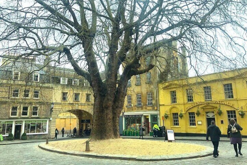 From London: Stonehenge and Roman Baths Entry