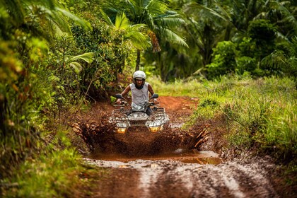 Bel Ombre Nature Reserve: Quad Bike Tour