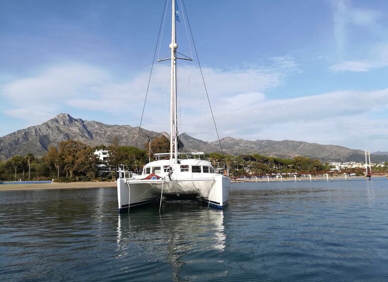 Marbella: Catamaran Tour with Dolphin Watching