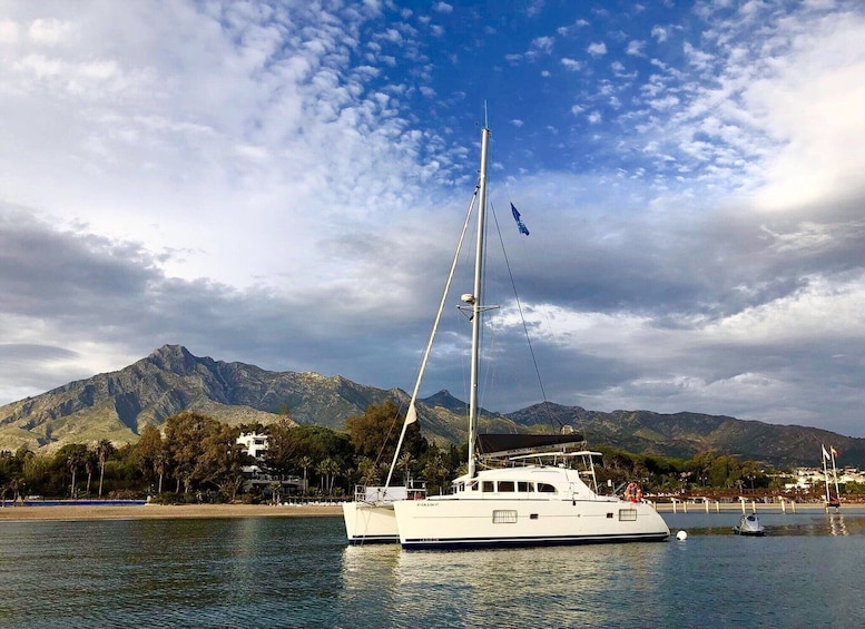 Picture 2 for Activity Marbella: Catamaran Tour with Dolphin Watching