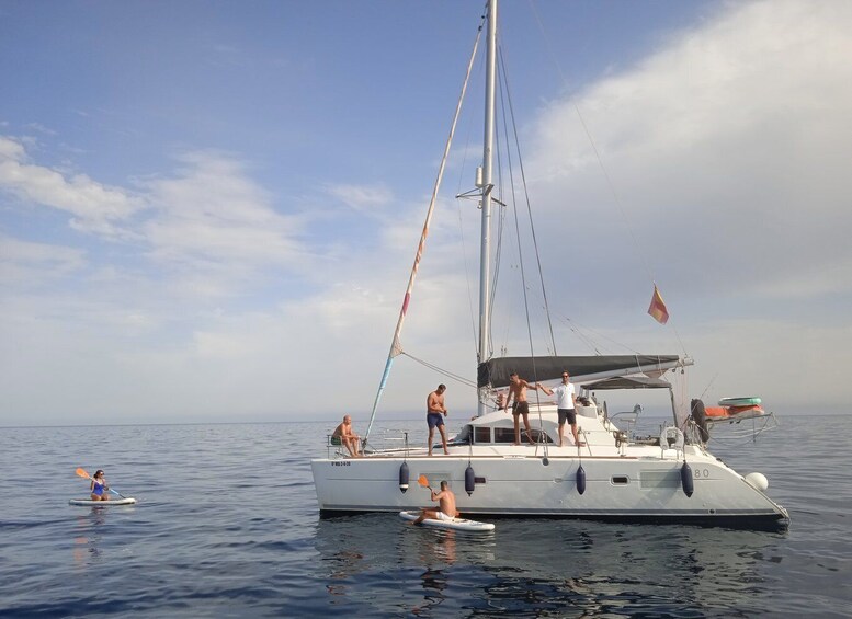 Picture 7 for Activity Marbella: Catamaran Tour with Dolphin Watching