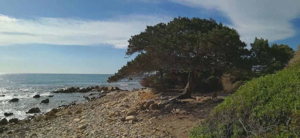 Picture 7 for Activity Golfo di Orosei: Mountains and Beaches in 4X4