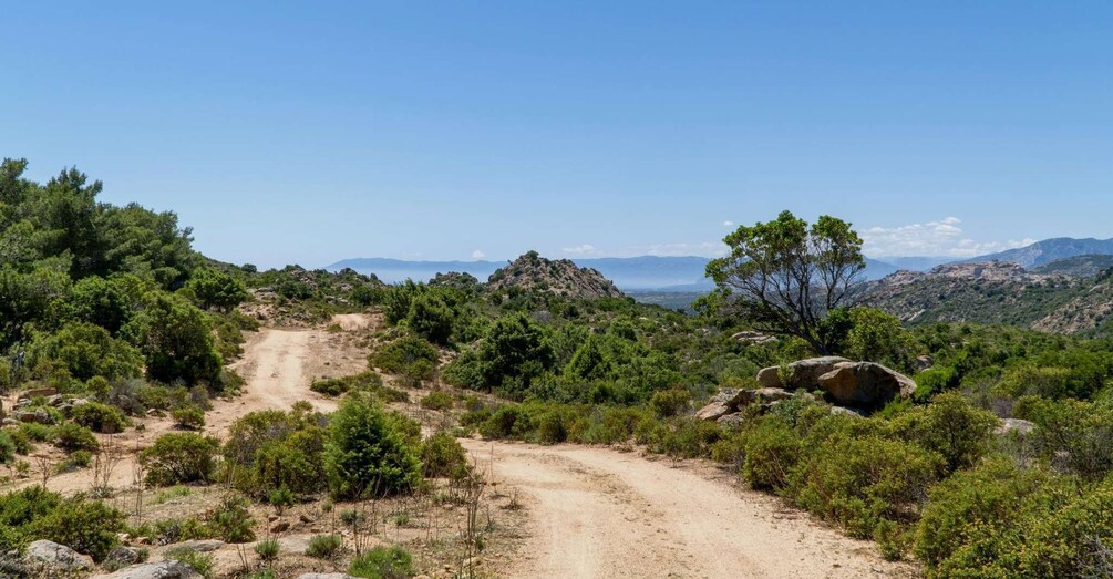 Picture 15 for Activity Golfo di Orosei: Mountains and Beaches in 4X4