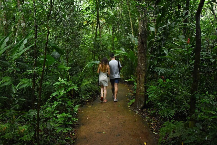 Picture 7 for Activity Puerto Iguazu: Iguaza Falls Brazilian Side & Bird Park Tour