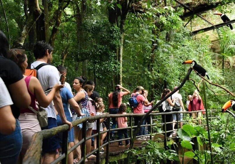 Picture 2 for Activity Puerto Iguazu: Iguaza Falls Brazilian Side & Bird Park Tour