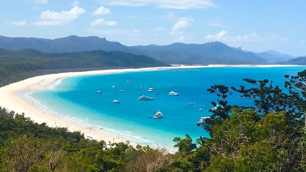 Picture 6 for Activity Airlie Beach: Whitehaven Beach BBQ & Hill Inlet Adventure