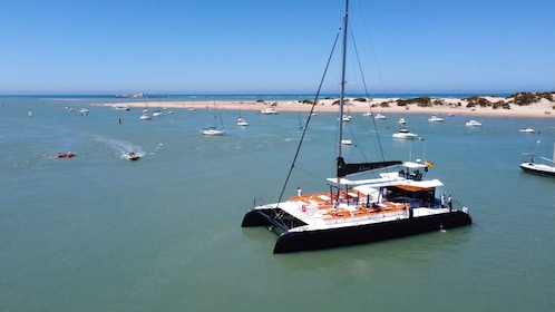 Sancti Petri: crucero en catamarán con parada de natación y menú