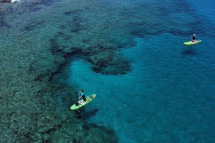 SUP Standup Paddling and Snorkelling Shared Experience