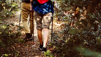 Overnight Rain Forest Adventure in Sinharaja with Transfers