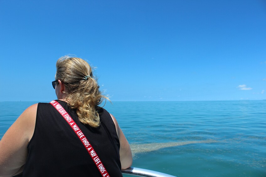 Key West Shuttle from Miami: Dolphin Watch with Snorkeling, Jet Ski & More