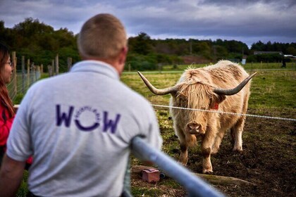 Full-Day Tour of Scotland from Invergordon