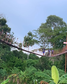 Avventura Tarzan a Pattaya
