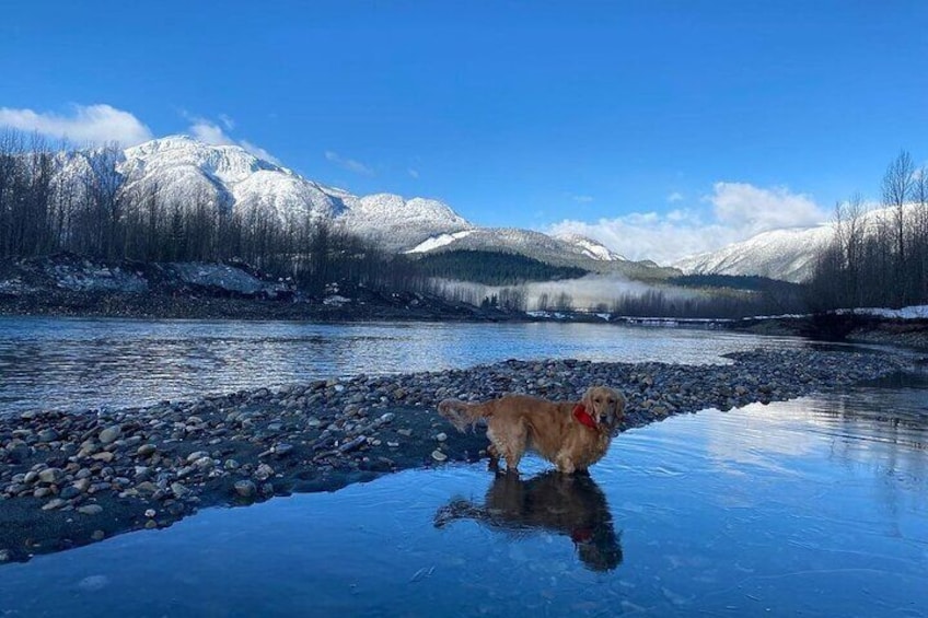 Canadian Rocky Mountains 4-Day Tour from Vancouver Including Banff National Park