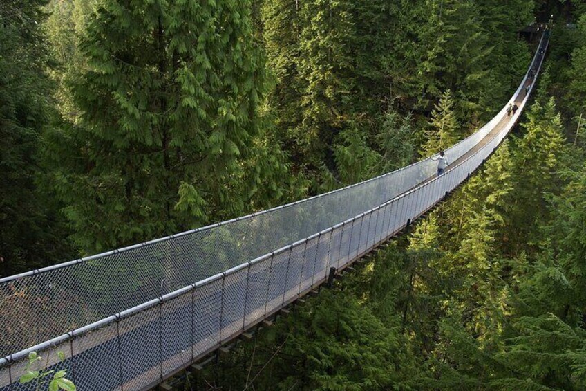 Vancouver One day City Tour- Capilano Suspension Bridge (optional) Mandarin/Eng