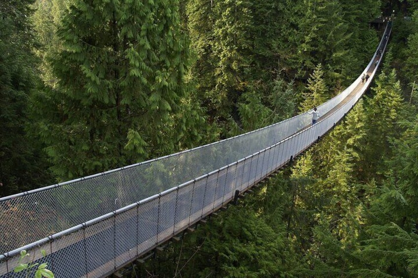 Vancouver One day City Tour- Capilano Suspension Bridge (optional) Mandarin/Eng