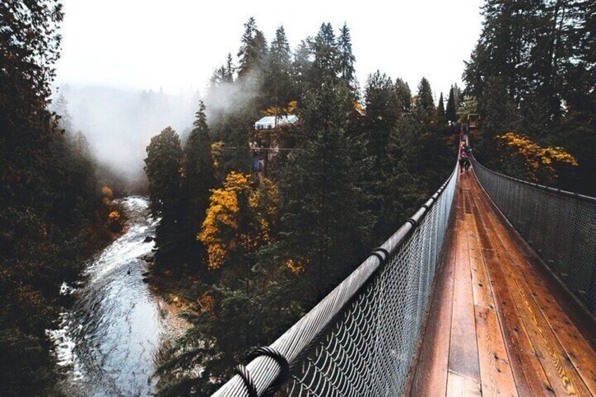 Vancouver One day City Tour- Capilano Suspension Bridge (optional) Mandarin/Eng