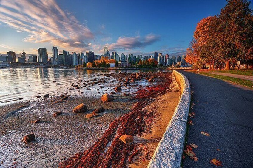 Vancouver One day City Tour- Capilano Suspension Bridge (optional) Mandarin/Eng