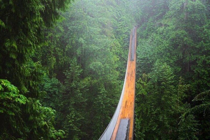 Capilano Suspension Bridge