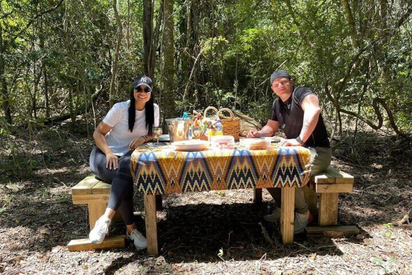 Freshly prepared lunch with wine/beer in the forest