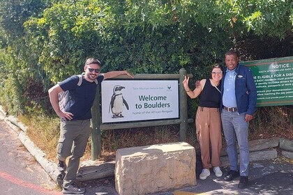 Cape of Good Hope, Penguins and Sightseeing tour