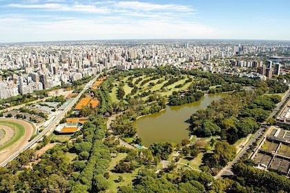 Private Tour of Buenos Aires by Plane
