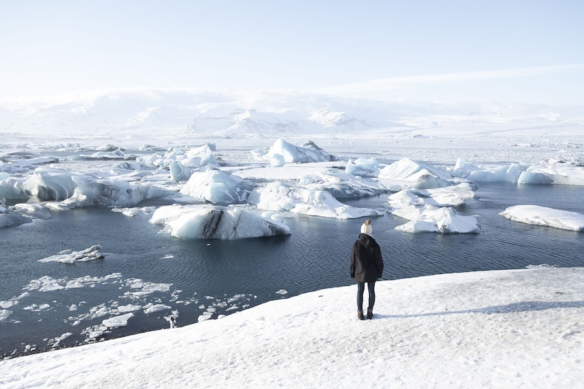 Glacier Lagoon (JÃ¶kulsÃ¡rlÃ³n) Full Day Tour