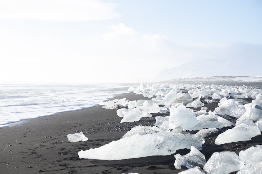 Glacier Lagoon (Jökulsárlón) Full Day Tour