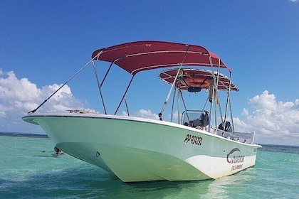 Boat trip visit Mangroves, islets and lagoon