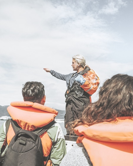 Glacier Lagoon (Jökulsárlón) Full Day Tour & Boat Ride