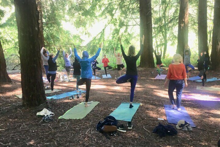 Silent Disco Style Yoga Class in Lake Merritt Pergola