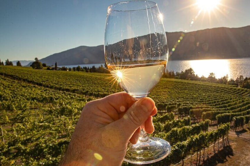 Evening over the vineyard at Gray Monk Estate Winery