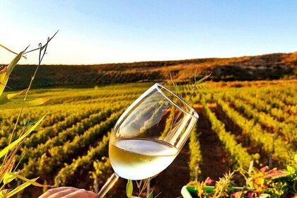Durres Local Food Wine Tasting & Wine Tour Experience