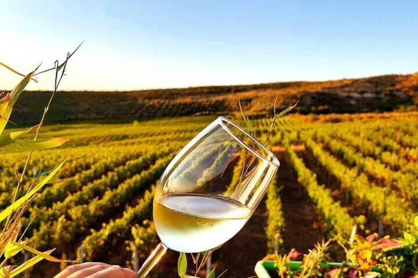 "Escape the city and take a short trip from Tirana to the stunning vineyards of Durrës where slow food, fine wine, and great