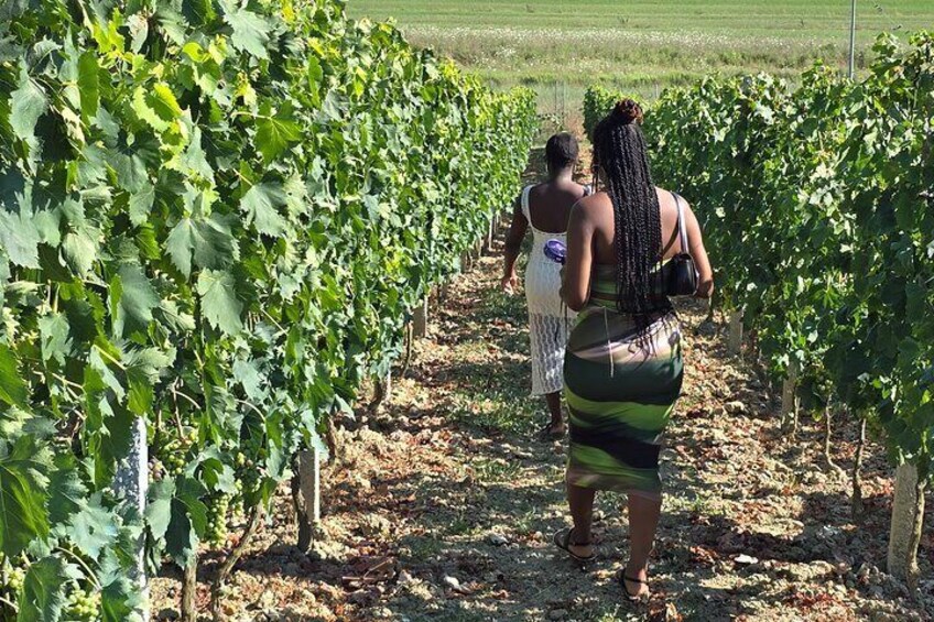 Durres Local Wine Food Tasting & Wine Tour Experience