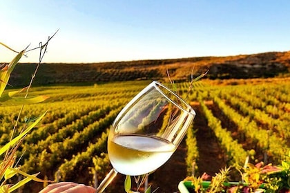 Durres Local Wine Food Tasting & Wine Tour Experience