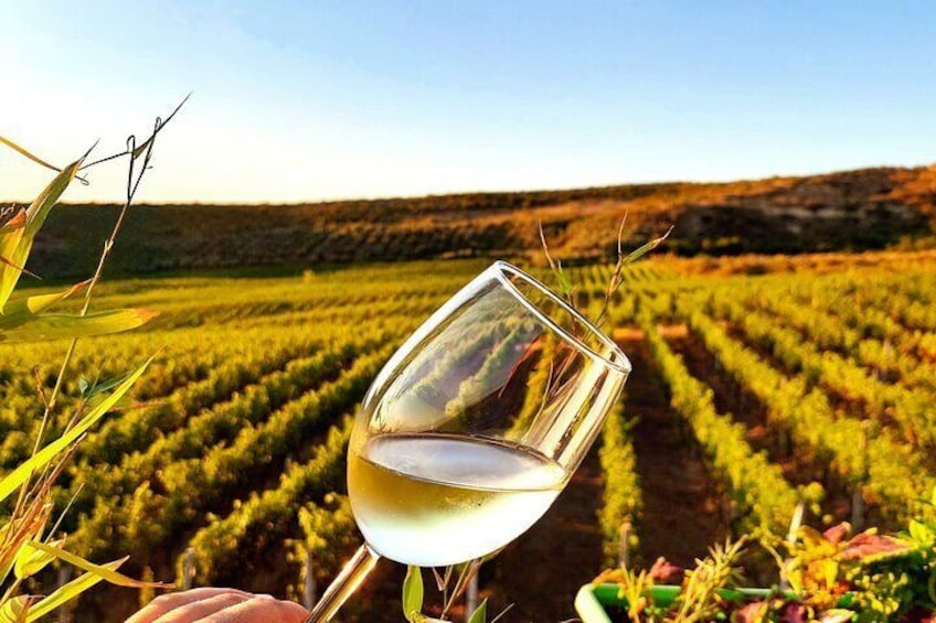 Durres Local Wine Food Tasting & Wine Tour Experience 