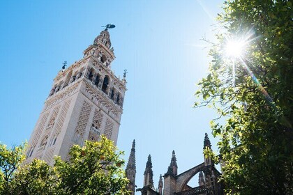 塞維利亞大教堂和吉拉爾達塔小團體遊