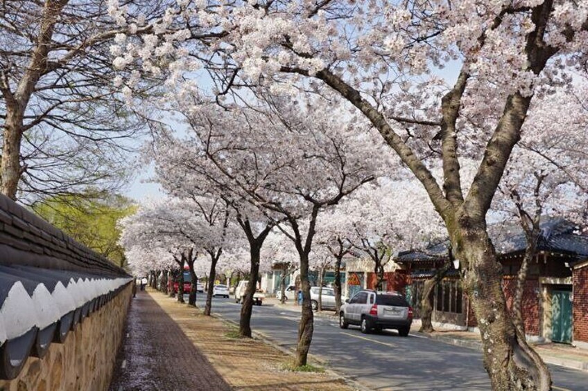 2-Days Gyeongju Customized tour